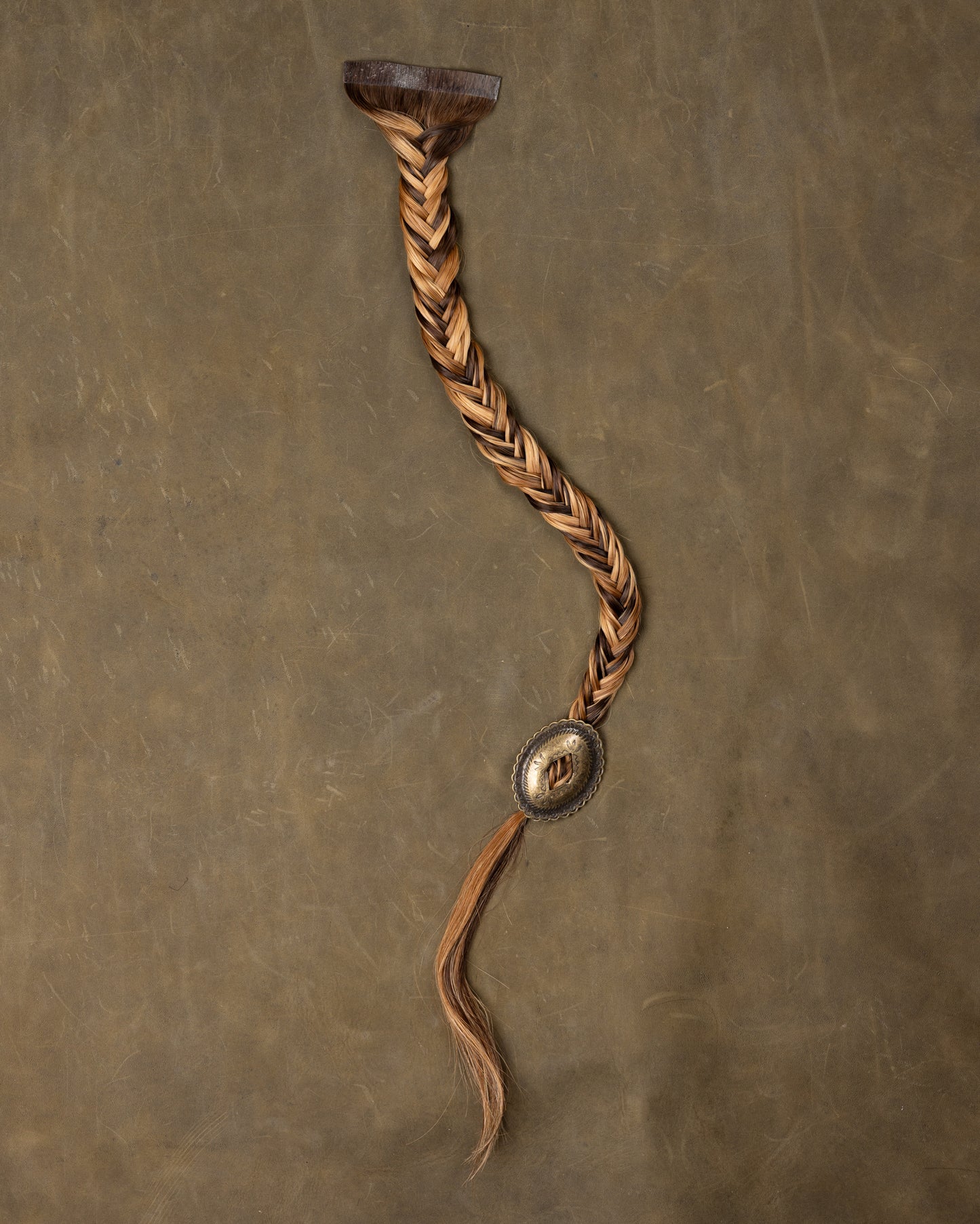 Tail + Concho - Autumn