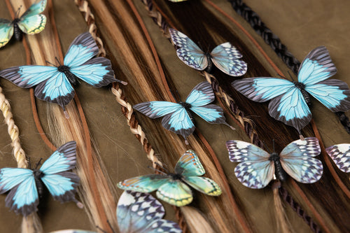 Butterfly Collection