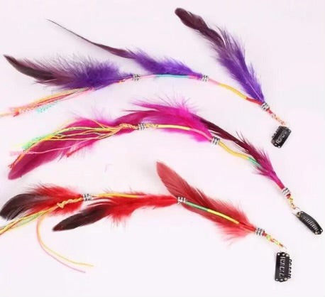 Colored Feather Clip-In