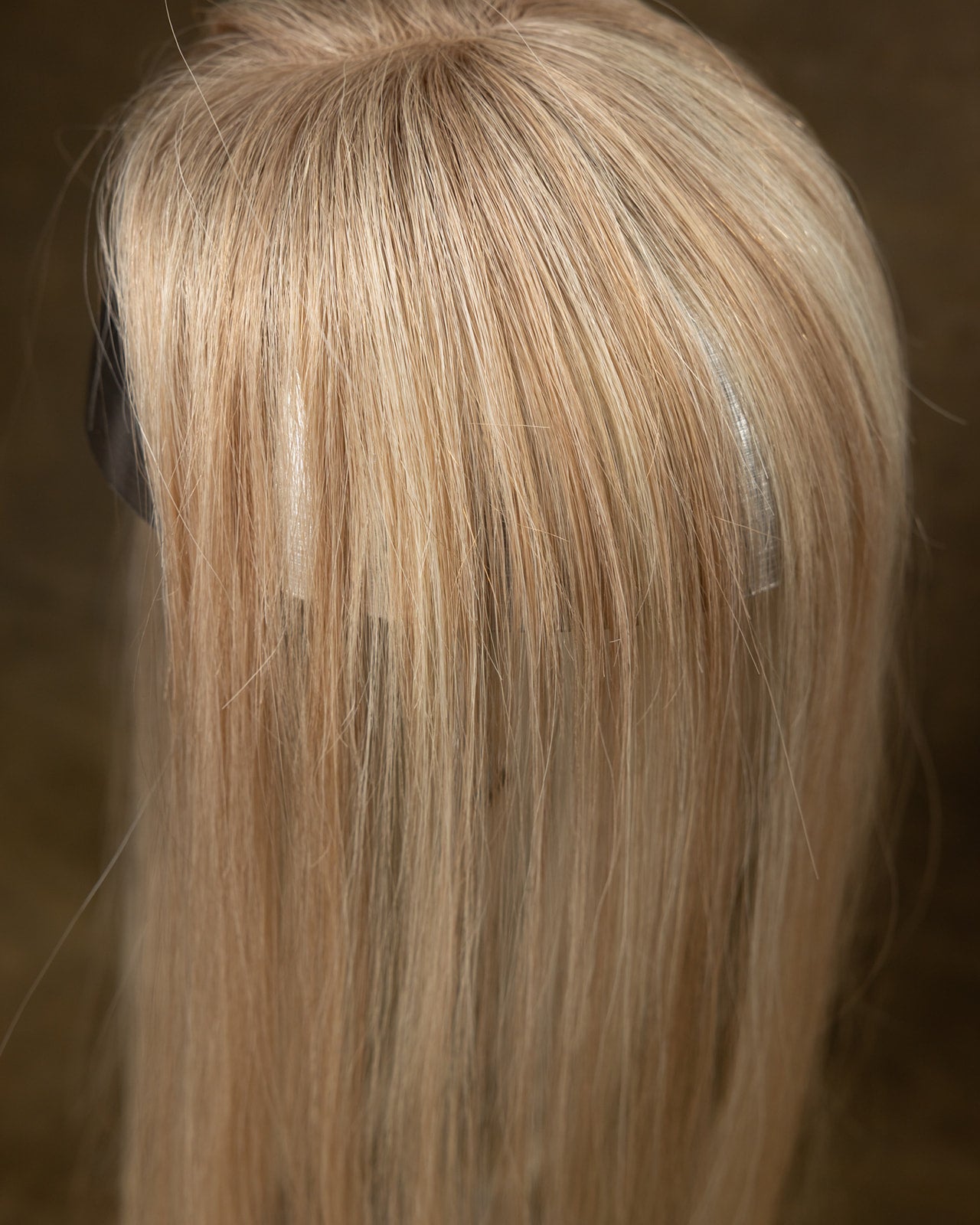 Bangs - Charolais
