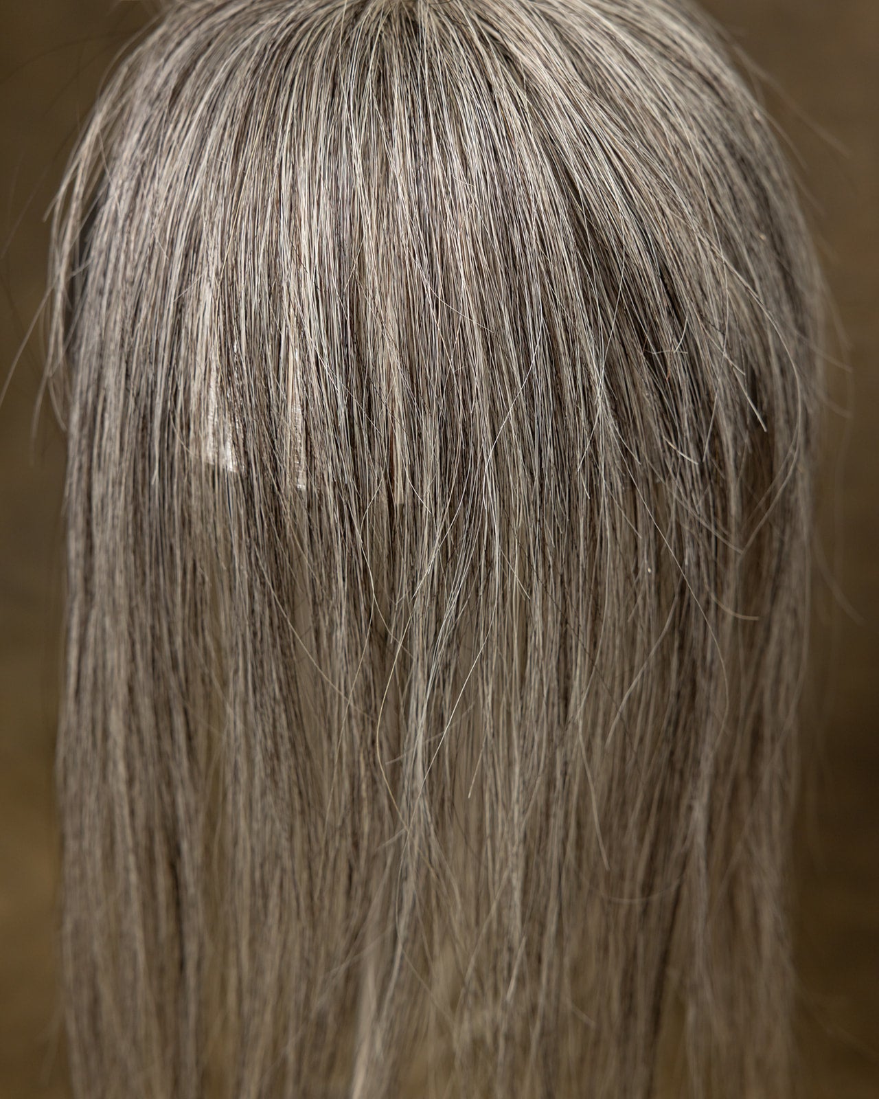 Bangs - Salt & Pepper