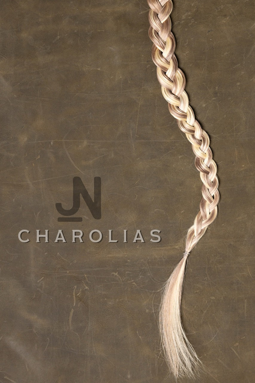 Mane - Charolais