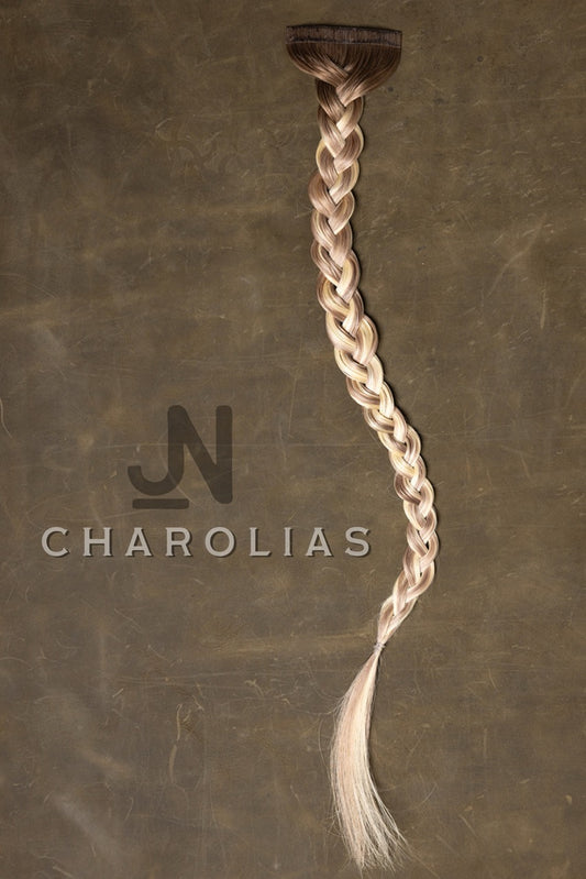 Mane - Charolais