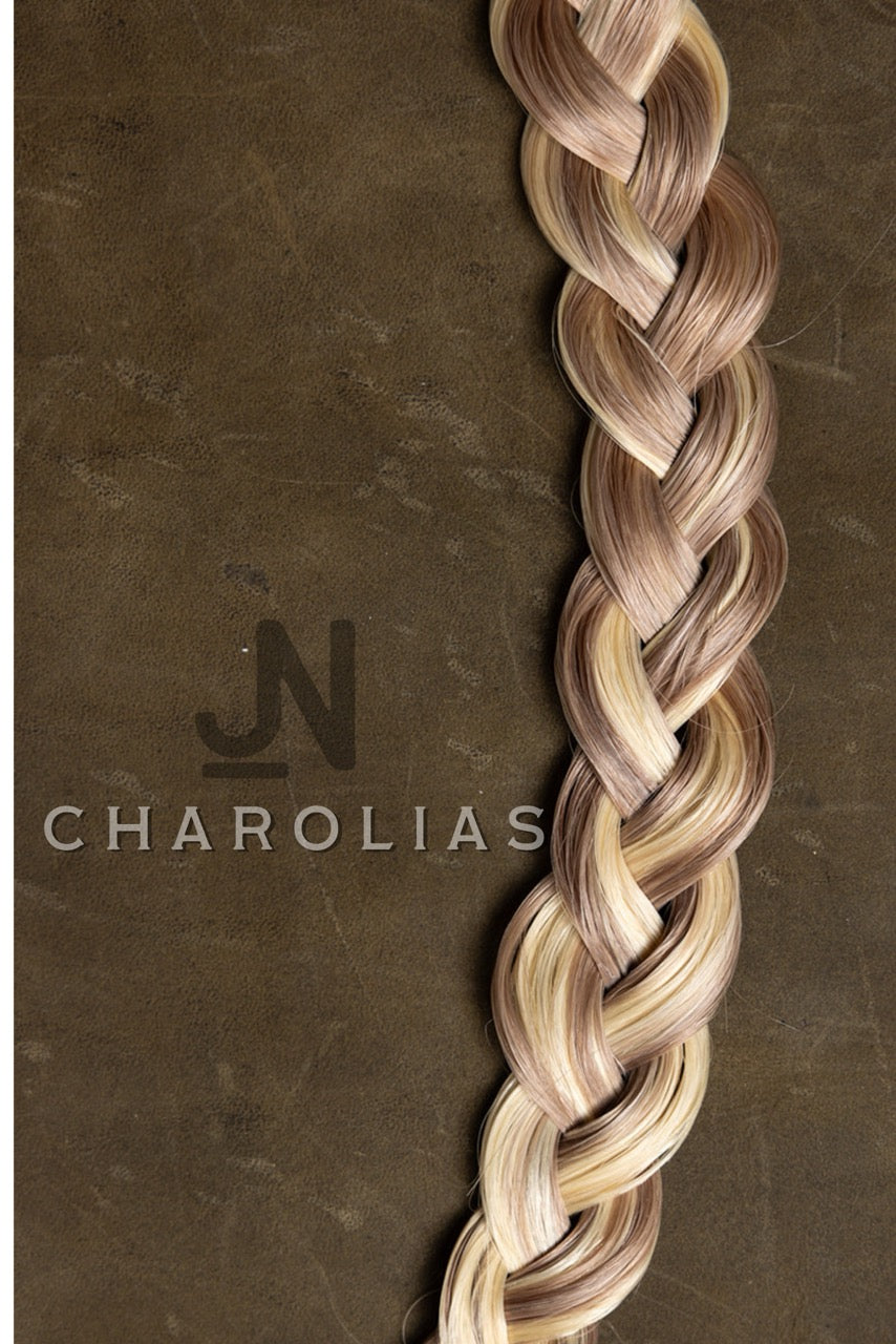 Mane + Concho - Charolais