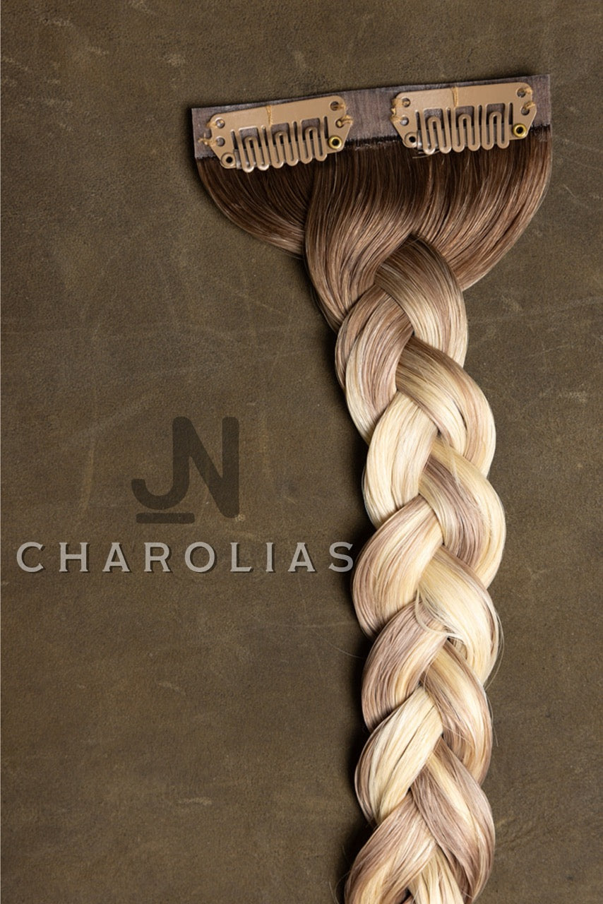 Mane + Concho - Charolais