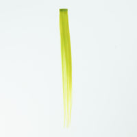 Money Piece NEON GREEN