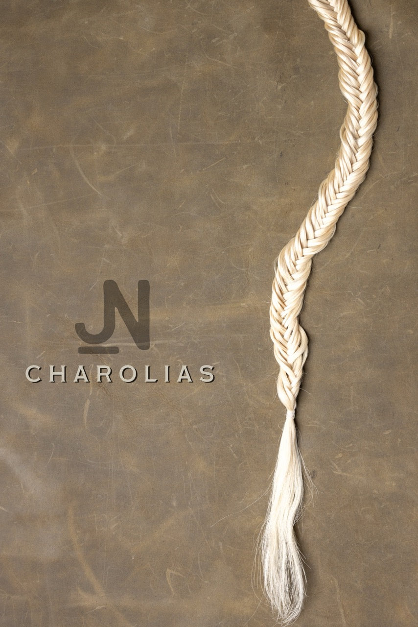 Tail - Charolais