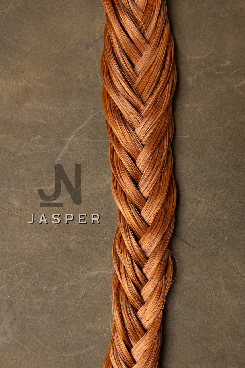 Tail - Jasper